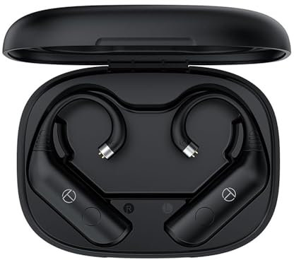 FAAEAL TRN BT20 Pro Bluetooth-Kopfhörer-Modul mit QDC/S/C-Pin, AAC/SBC True Wireless Ohrbügel mit Ladehülle für KZ ZSN PRO Castor D-Fi PR3 EDA AS24 TRN Medusa Conch Orca Tangzu Waner CCA (QDC)