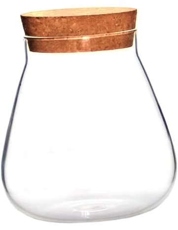 MOBUTOFU Vase Transparent pour Micro Terrarium Bocal Décoratif à Plantes Et DIY Décoration De Table Et Écosystèmes Miniatures