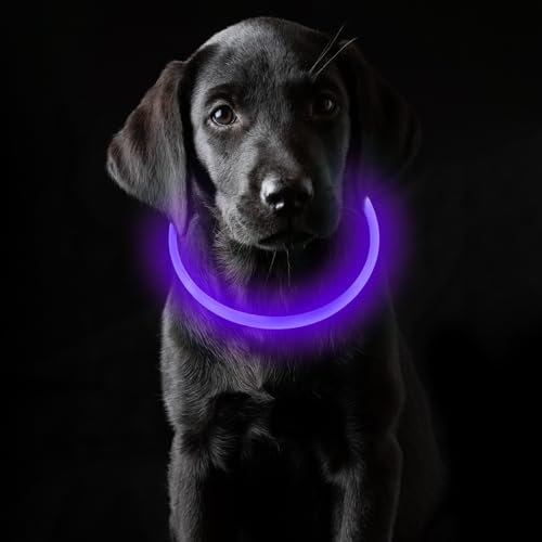 Coolzon LED Leuchthalsband Hundehalsband Aufladbar, Wasserdicht Halsband Hund 3 Modi, Leuchtband Hund Halsband Längenverstellbareres Super Helle Kalsband Katze und Hunde Klein Groß Mittel, Lila