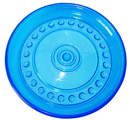 FONDOTIN 1stück Pet Training Flying Disc Interaktives Hundefrisbee Für Pool Und Strand Leichtes Und Schwimmendes Spielzeug Für Mittelgroße Hunde Langlebig Und Farbenfroh Für