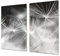 Asse da cucina in VETRO temperato – Tagliere in vetro – pezzo UNICO (60x52 cm) o DUE pezzi (30x52 cm ognuno); D06 Serie Fiori: Fiore 7