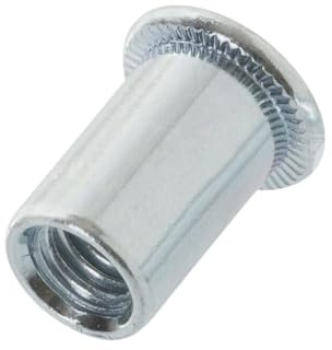 Dadi per rivetti con testa piatta M10 x 15,5 mm, 20 pezzi, dadi per rivetti ciechi in acciaio zincato