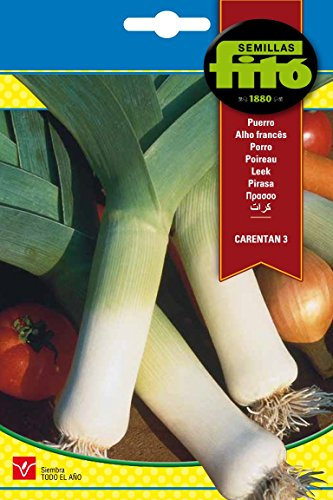 Semillas Fitó 261 - Semillas de Puerro Carentan 3