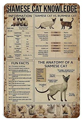 Sphynx Cat Knowledge Poster, Metallblechschild, Wandschild, Dekoration, Vintage-Retro-Schild, Eisenmalerei, Aluminiumschild für Heimdekoration, Bar, Shop, Männer, Höhle, Außenbereich, Garage, Innenber