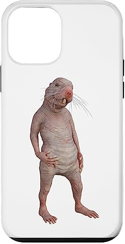Live Weird Funny Naked Mole Rat Strange Animal Case for iPhone 12 mini