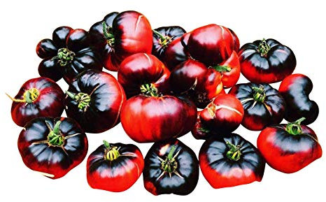 Indigo ''Blue Beauty'' 10 Samen -Lecker Indigo Beefsteak-Tomate-