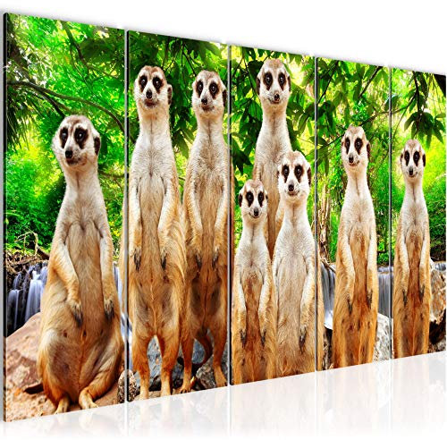 Runa Art Wandbild XXL Afrika Erdmännchen Wohnzimmer Schlafzimmer 200 x 80 cm Bunt 5 Teilig - Made in Germany - 005555c