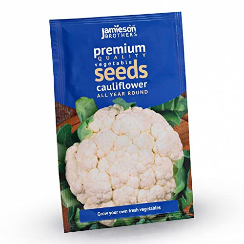 Jamieson Brothers® Cauliflower All Year Round Vegetable Seeds (Approx. 240 Seeds) - Premium Quality Seeds to Grow Your Own Food at Home, in The Garden Or at The Allotment