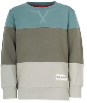 Band of Rascals Kinder Sweatshirt 3C Block aus Bio-Baumwolle, sage-moos, Gr. 110/116