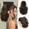 Sofeiyan Pferdeschwanz Verlängerung 28cm Klaue Clip in Pferdeschwanz Haarverlängerungen Kurz Lockig Gewellt Pferdeschwanz Extensions Synthetisches Haarteil für Frauen, Dunkelbraun/Goldbraun Auburn