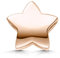Materia Bead Stern Silber 925 Damen - Charms Anhänger Rosegold 1286