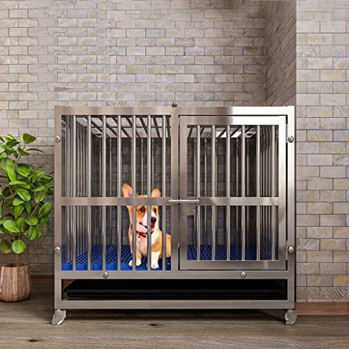 Robuster Hundekäfig mit Kunststoffwanne, sicherer Tür und Schloss für den Innen- und Außenbereich