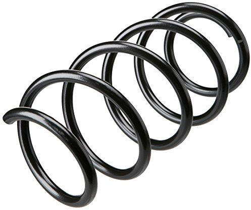 lesjofers 4035757 Coil Spring Front