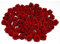 Rosen 15 mm x 20 Stück Satinrosen Aufnäher Deko Blumen Röschen zum Basteln Haarschmuck kleine Rosenköpfe Farbe: rot 250