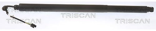 TRISCAN Gasfeder, Koffer-/Laderaum 871029313