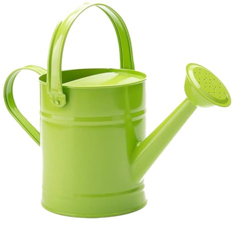 QmjdDymx Pot d'arrosage pour Plantes, 1,5 L, arrosoir pour Enfants, Petites Plantes de Jardin en métal, équipement d'arrosage pour Fleurs d'intérieur, Vert