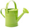 QmjdDymx Regadera para Plantas, 1,5 L, regadera para niños, pequeñas Plantas de jardín de Metal, regadera, Equipo de riego para Flores de Interior, Color Verde