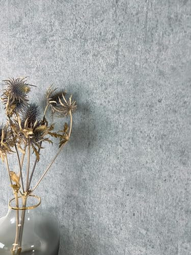 Newroom Tapete Grau Vliestapete Beton - Universal Modern Platin Unifarbe Struktur Einfarbig Industrial Betonoptik Betonwand inkl. Tapezier-Ratgeber