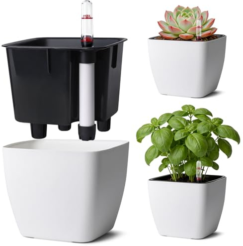 T4U Selbstbewässerungstopf 12,5cm 3er Kräutertopf Eckig mit Anzeige Weiß | Blumentopf mit Bewässerungssystem, Basilikum, Petersilie, Küchenkräuter, Fensterbank, Balkon, Anfänger, Urlaubspflege