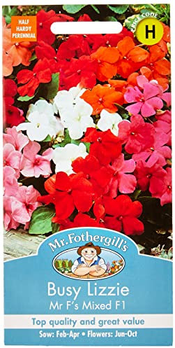 Mr Fothergill's Busy Lizzie Mr F's Mixed F1