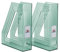 Acrimet Stehsammler Zeitschriftensammler Organizer (Kunststoff) (Grün Transparent Farbe) (2 Stück)