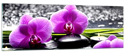 Panorama Bilder auf Glas Orchidee Natur Wasser Blume Glasbild 90x30cm Wandbilder Dekoration Wohnzimmer Schlafzimmer Küche Klein Wanddeko Bild im Glas Wand Kunstdruck Art Modern GAB90x30-2658