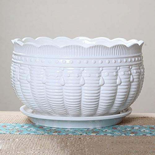 GGZONE Pot de Fleur Blanc pour Plantes succulentes et Cactus Pot de Fleurs en céramique Blanc Pot en céramique Connecté avec Vase Palette pour Maison, Jardin, Cuisine, décoration, ustensiles de Cour