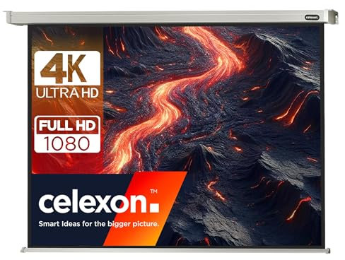 celexon Professional Electric screen 135 | 280x210 cm 4:3 | Electric 4K, full HD projector screen for projections in the office & home cinema | for ceiling/wall mounting | with remote control