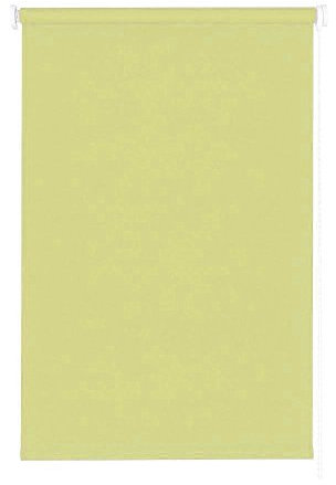 Schrader Rollo Seitenzug Verdunkelungsrollo Creme-weiß 82 x 180cm zum Verdunkeln für Wand/Decken