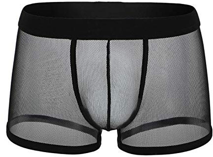Dasongff Herren Boxer Shorts Weiche Unterhosen Durchsichtige Boxershorts Sexy Unterwäsche Trunk für Männer Transparent Netz Autmungsaktiv Sportunterhose