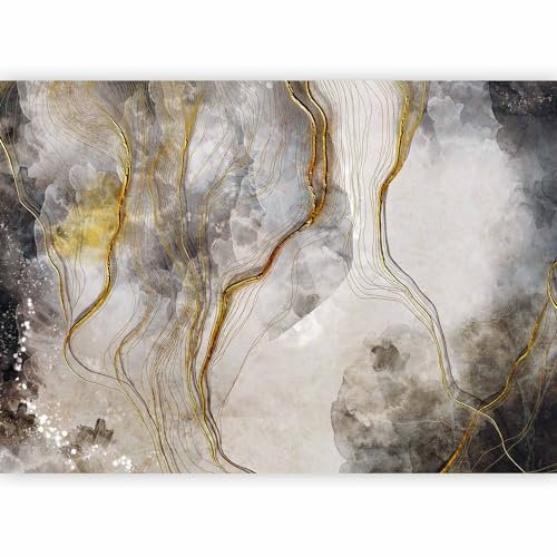murando - Papier peint panoramique abstrait 400x280 cm - Revêtement mural décoration pour chambre salon cuisine - Design unique et moderne - Marron beige - a-C-10019-a-a