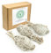 MUT22 3 Antorchas XL Salvia Blanca Sagrada para Quemar, Hierba de Purificación y Armonía: Salvia Apiana 100% Natural, Ideal para Limpieza Espiritual y Rituales Energéticos