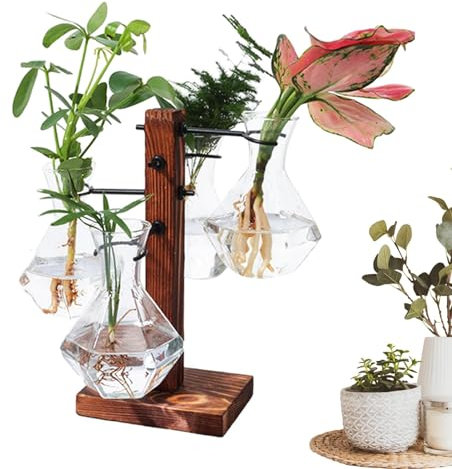 Fioriera in vetro con supporto | Fioriera da tavolo | Supporto per fioriera ad aria moderna stazione di propagazione delle piante decorazione per la casa e giardino in vetro