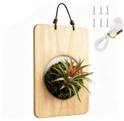 ycezw Soporte Montaje para Helechos Cuerno de Alce - Maceta Madera Natural Helecho Cuerno Alce - Cesta Soporte de Plantas,para Jardín Patio Balcón Dormitorio Sala de Estar Porche Interior Exterior