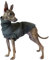 Fleece Hundemantel mit Beinen, Warmer Dicker Hundepullover für Italienische Windhunde, Whippet, Lurcher, Deutsche Dogge, Pharaoh Hound, Bedlington Terrier (Farbe : Grau, Größe : S)