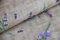 Dekostoffe Meterware Sommer, Baumwoll Mischgewebe bedruckt, Ottomanestoff *50cm, Farbe: 005 Lavendel