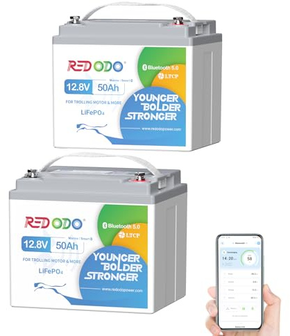 Redodo 12V 50Ah(2 Pack) Batterie Lithium avec Bluetooth 640Wh Batterie LiFePO4 avec Anti-Brouillard Salin pour Trolling Motor/Détecteur de Poissons/Feux de Navigation/Camping-Car