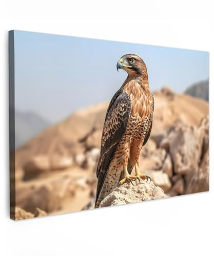 MuchoWow© Bild auf Leinwand Groß 120x80 cm XXL Schlafzimmer Bilder Badezimmer Wand Deko Wohnzimmer Modern Wanddeko Bilderwand Geschenk Falke - Vogel - Fels - Kraft