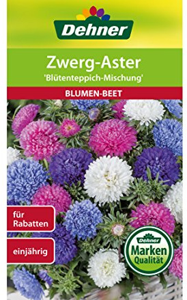 Dehner Blumen-Saatgut, Zwerg-Aster Blütenteppich-Mischung, 5er Pack (5 x 0.9 g)