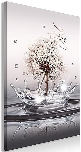 murando Acrylglasbild Pusteblume 1 Teilig Wandbild auf Acryl Glasbilder Kunstdruck Moderne Acrylglas Platte Wanddekoration Geschenke Heimdekoration Glasbild Natur Wassertropfen Blumen Löwenzahn