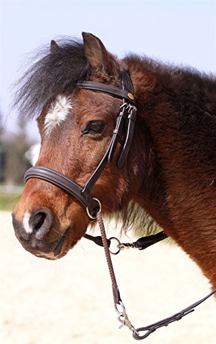 Barefoot Gebisslose Zäumung für Pferde – Bittless Bridle und Sidepull in einem – Weich gepolstert mit breitem Nasen-, Stirn- und Genickstück – ideal für Western, Englisch und Wanderreiten – schwarz