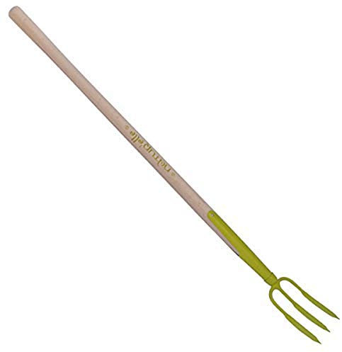 Fourche à Rosier, Kiwi