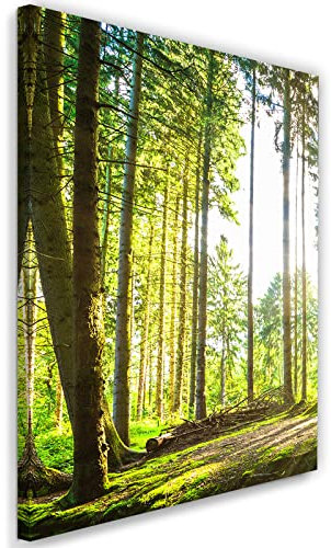 Feeby Vlies Leinwandbild Wald Pflanzen Bäume Natur 60x90 cm Druckbild Wandbild Wanddekoration Deko Wand Aesthetic Landschaft Moos Sonnenstrahlen Grün