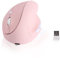 Tynerza Souris Ergonomique Verticale sans Fil Rechargeable, 6 Boutons, 1600 DPI, Souris de Bureau Optique avec récepteur USB, pour Ordinateur Portable, Petite ou Moyenne Main Droite (Rose)