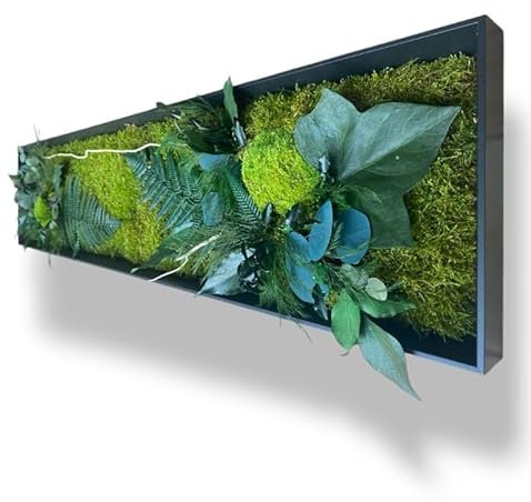 Générique Tableau végétal stabilisé TULUM sans entretien - tableau de plantes et décoration murale d'intérieur, plantes et fleurs éternels made in France