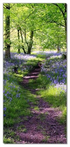 Wallario Selbstklebende Türtapete Blaues Hasenglöckchen im Wald - Türposter 93 x 205 cm Abwischbar, rückstandsfrei zu entfernen