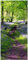 Wallario Selbstklebende Türtapete Blaues Hasenglöckchen im Wald - Türposter 93 x 205 cm Abwischbar, rückstandsfrei zu entfernen