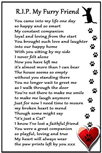 CAT Bereavement Gift Magnet - RIP My Furry Friend - cat loss, sympathy, memorial Flexible Magnet 6 x 4