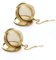 Tee-Ei, Edelstahl-Mesh-Teeball, Premium-Tee-Ei für losen Tee, Teefilter-Siebe Intervall-Diffusor mit verlängertem Kettenhaken für Tee und Gewürze und Gewürze (2 Stück) (Gold)