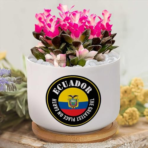 Yelolyio Pots de fleurs personnalisés en céramique « The Greatest Place On Earth » - Petit pot de fleurs en céramique - Drapeau de l'Équateur - Pots de fleurs pour plantes d'intérieur